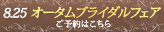 msc2013autumn_banner_mini01.png